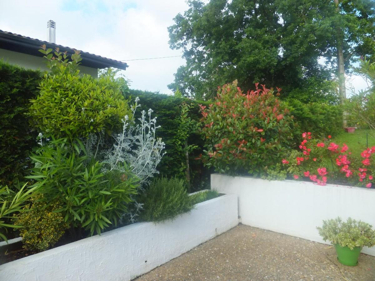 Bed and Breakfast Accueil Lafaye21 Orthez Exterior foto